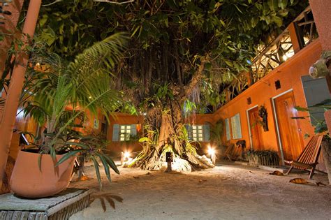 sea dreams caye caulker